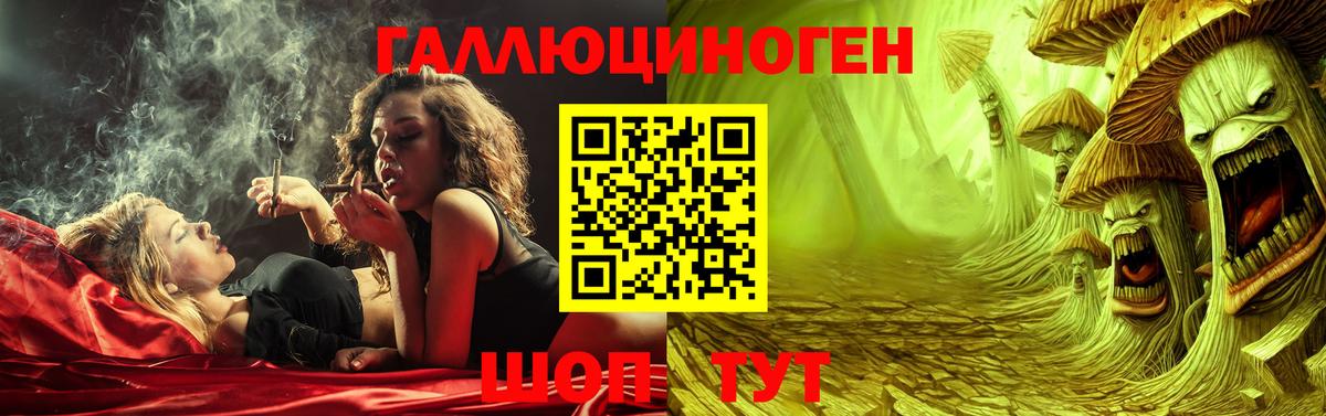 закладка  Псилоцибиновые грибы ЛСД  Вход с VPN  Шадринск 